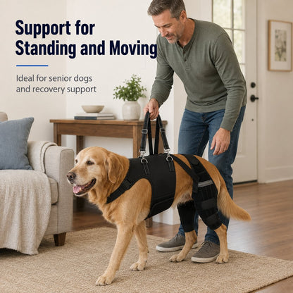Senior Dog Rear Leg Harness – Walking Lift Support