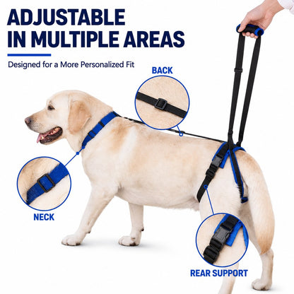 Dog Rear Lift Harness – Hind Leg Support