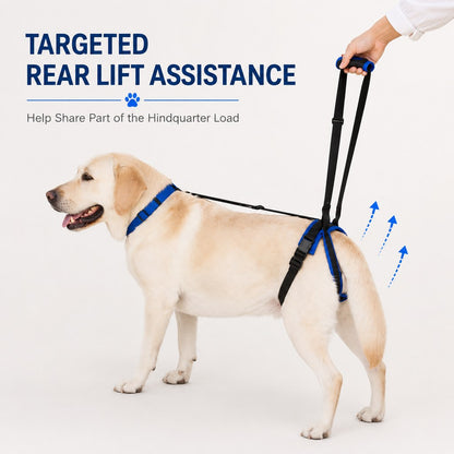 Dog Rear Lift Harness – Hind Leg Support