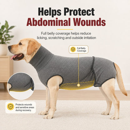 Padded Dog Recovery Suit – Surgery & Heat Protection