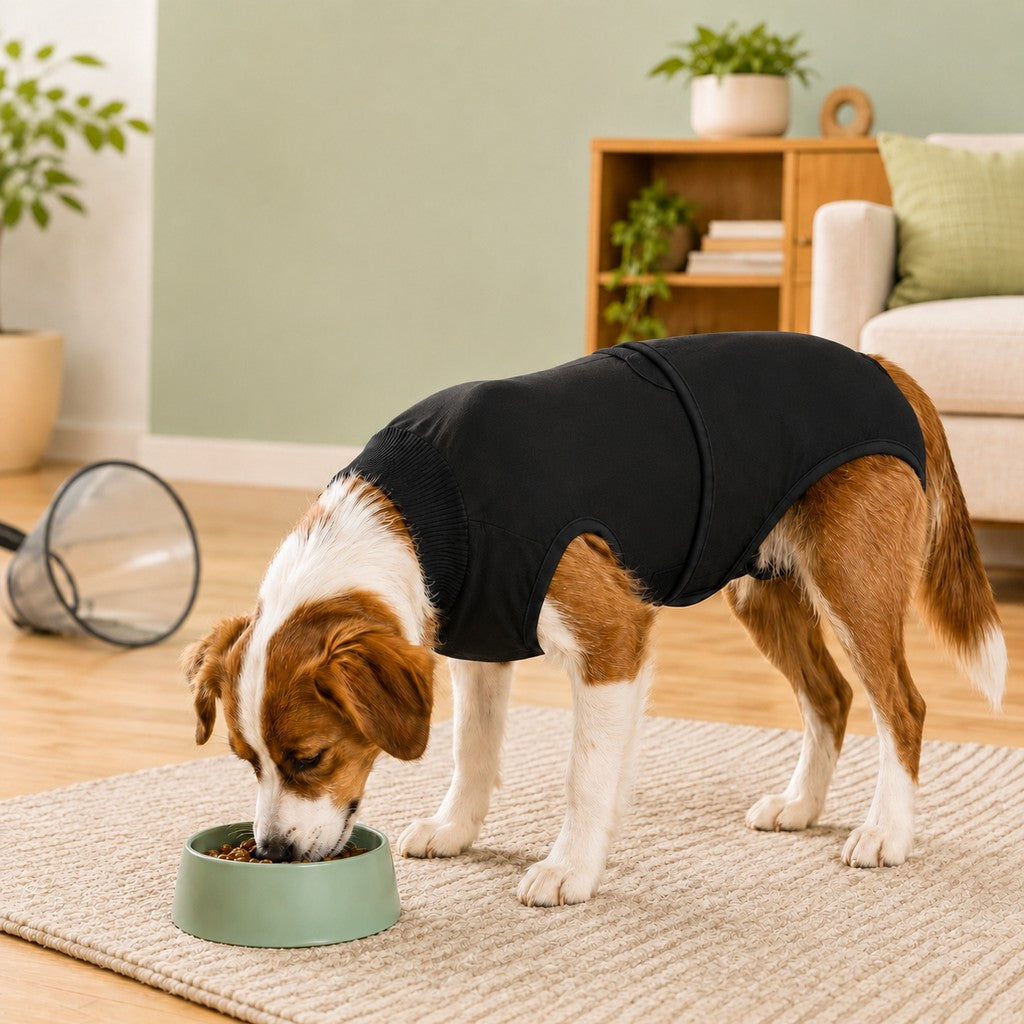 Dog Surgery Recovery Suit – Comfy Cone Alternative