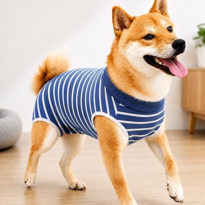 Spay & Neuter Recovery Suit – Anti-Lick Cone Alternative