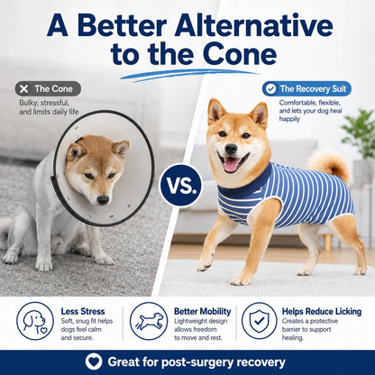 Spay & Neuter Recovery Suit – Anti-Lick Cone Alternative