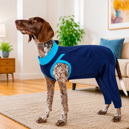 Dog Recovery Suit – Rear Leg Anti-Lick Coverage