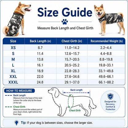 Spay & Neuter Recovery Suit – Anti-Lick Cone Alternative