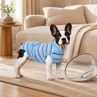 Blue Stripe