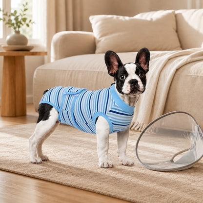 Breathable Dog Recovery Suit – Soft Cone Alternative