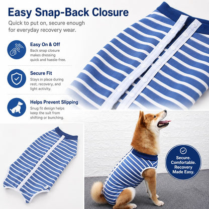 Spay & Neuter Recovery Suit – Anti-Lick Cone Alternative