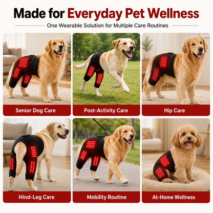 Red Light Dog Sleeve – Back & Hip Care