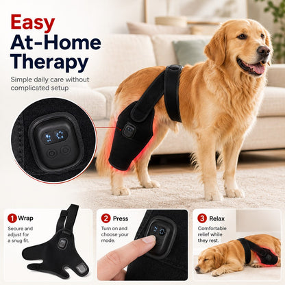 Red Light Dog Leg Brace – Hind Leg Comfort