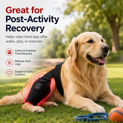 Red Light Dog Leg Brace – Hind Leg Comfort