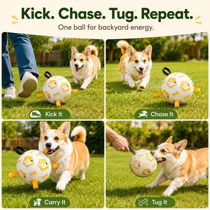Dog Soccer Ball with Grab Tabs – Fetch & Tug Fun