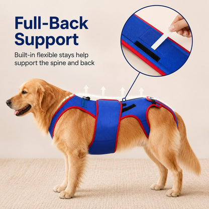 Dog Spine Support Vest – Adjustable Back Support