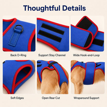 Dog Spine Support Vest – Adjustable Back Support