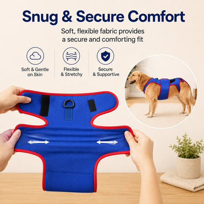 Dog Spine Support Vest – Adjustable Back Support