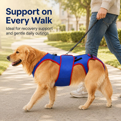 Dog Spine Support Vest – Adjustable Back Support