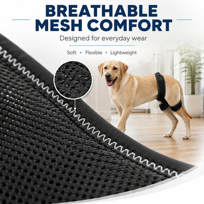 Dog Hip & Rear Leg Brace – Stability for Senior Dogs