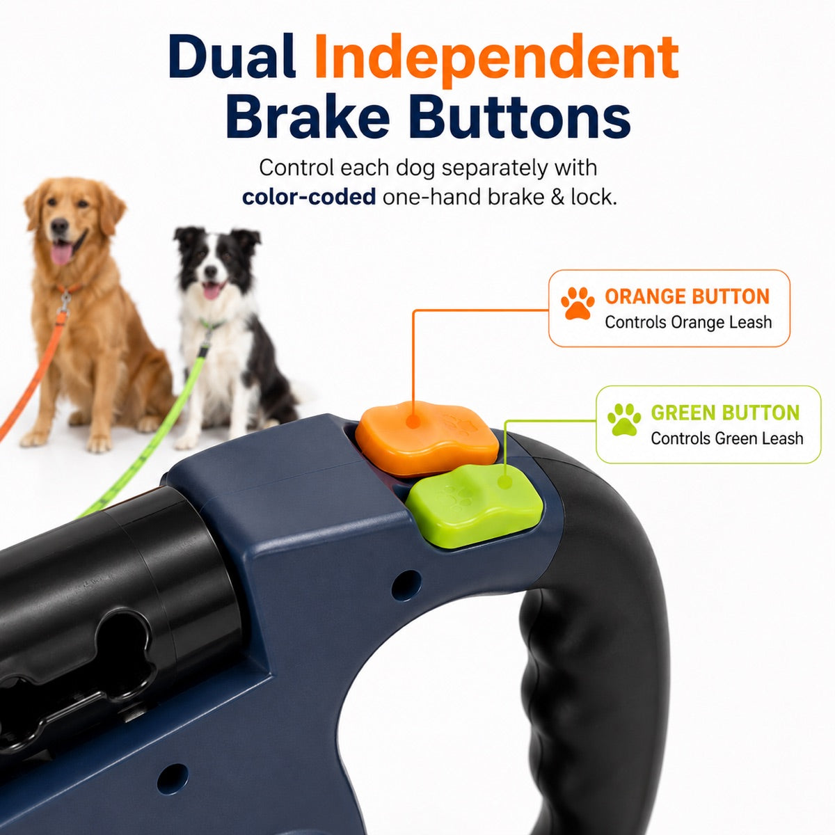 Dual Retractable Dog Leash – Tangle-Free with LED