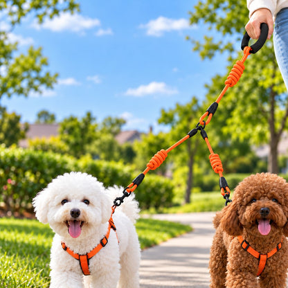 Dual Dog Leash – Bungee for Easy Two-Dog Walks