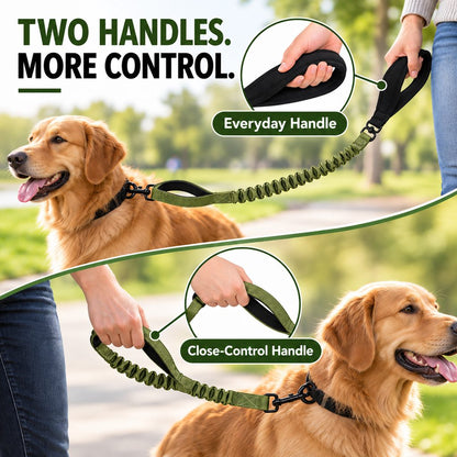Dual Handle Bungee Dog Leash – Softer Pulls