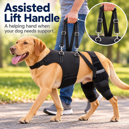 Dual Rear Leg Dog Knee Brace – Lift Handle Support