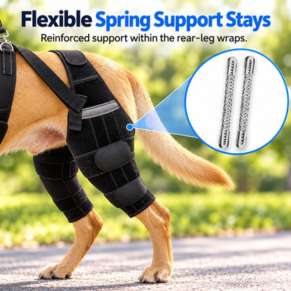 Dual Rear Leg Dog Knee Brace – Lift Handle Support