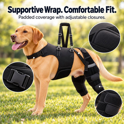 Dual Rear Leg Dog Knee Brace – Lift Handle Support