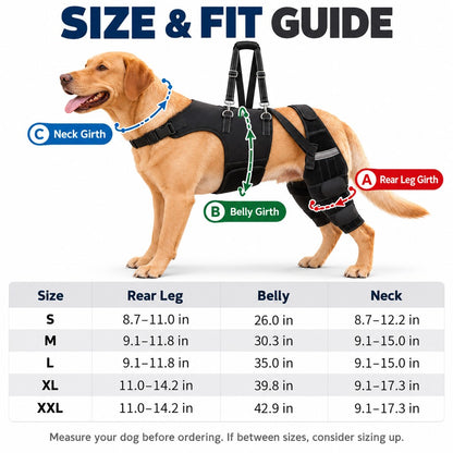 Dual Rear Leg Dog Knee Brace – Lift Handle Support