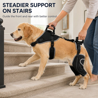 Full-Body Lift Harness – Dual Rear-Leg Support