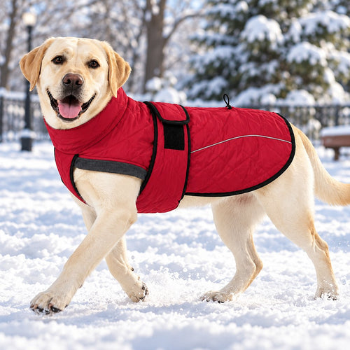 Fleece-Lined Winter Dog Coat – Warm & Reflective