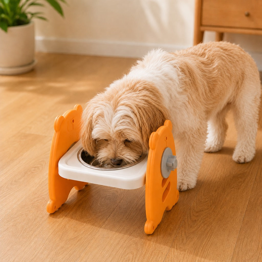 Elevated Tilted Steel Pet Bowls – Easier, Cleaner Meals