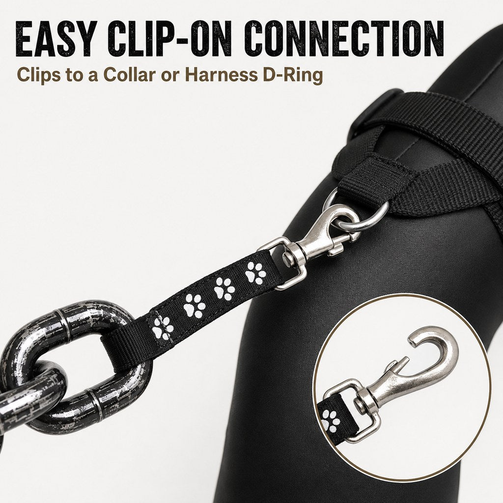 Chain Dog Leash & Collar Set – Bold Everyday Style