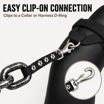 Chain Dog Leash & Collar Set – Bold Everyday Style