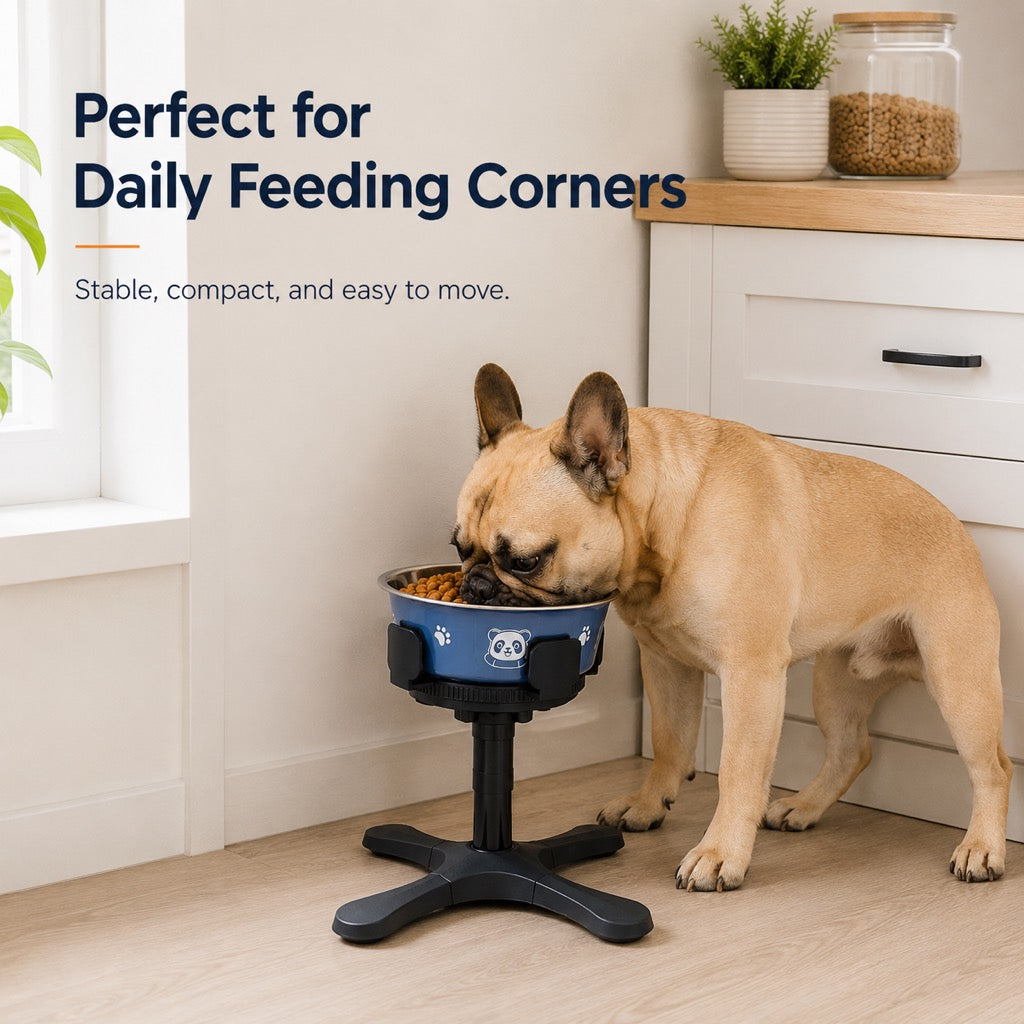 Tilted Elevated Dog Bowl – Less Neck Strain, Slow Feeding