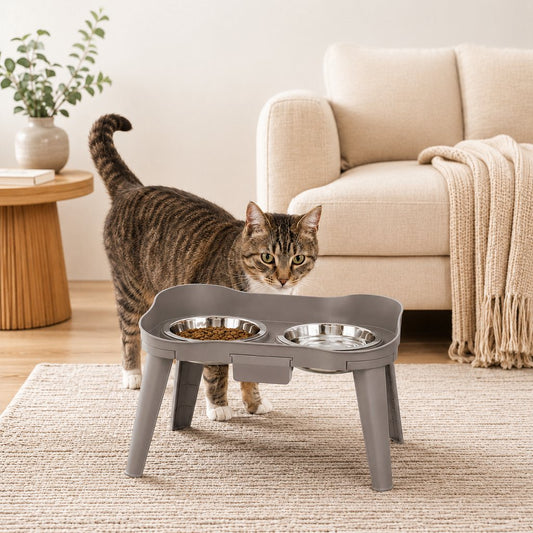 Elevated Pet Feeder with Spill Guard – Cleaner Floors