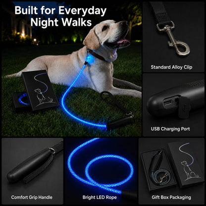 LED Light-Up Dog Leash – Rechargeable Night Safety