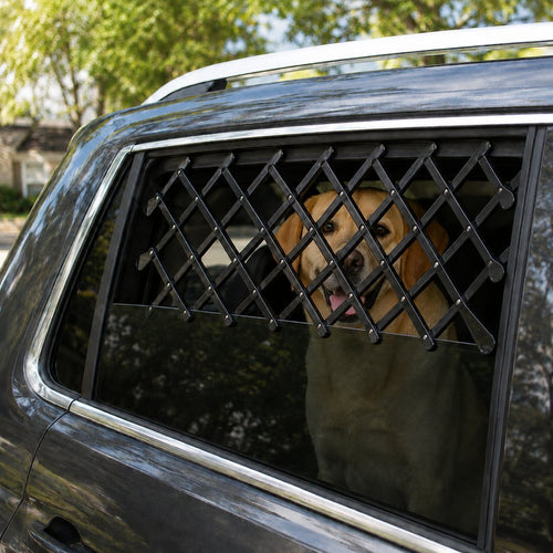 Dog Car Window Guard – Adjustable Safety Barrier