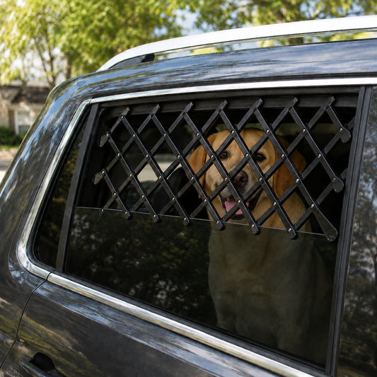 Dog Car Window Guard – Adjustable Safety Barrier