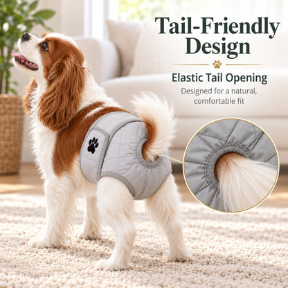 Washable Female Dog Diaper – Heat & Leak Protection