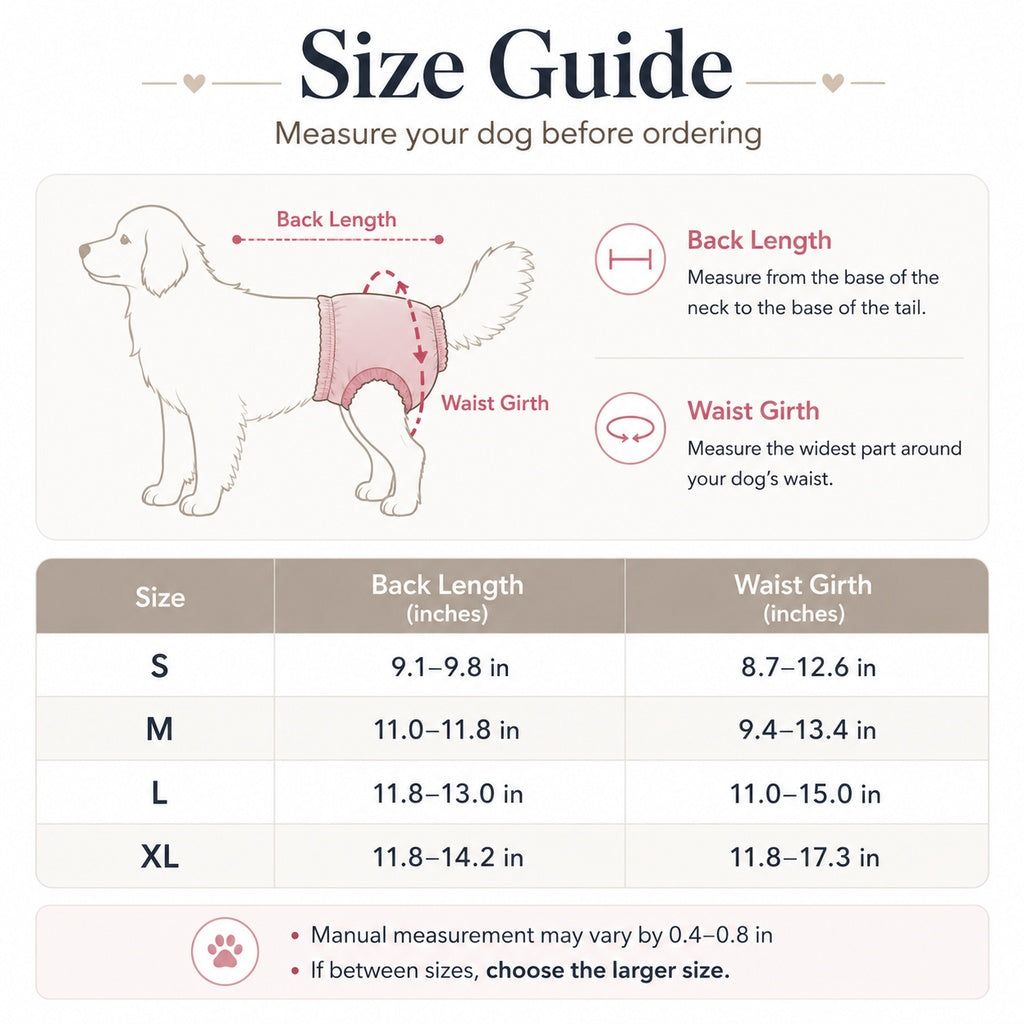 Female Dog Heat Pants – Washable with Straps