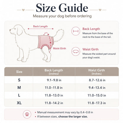 Female Dog Heat Pants – Washable with Straps