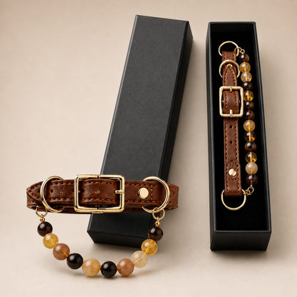 Crystal Pet Collar Gift Box – Photo-Ready Pet Jewelry
