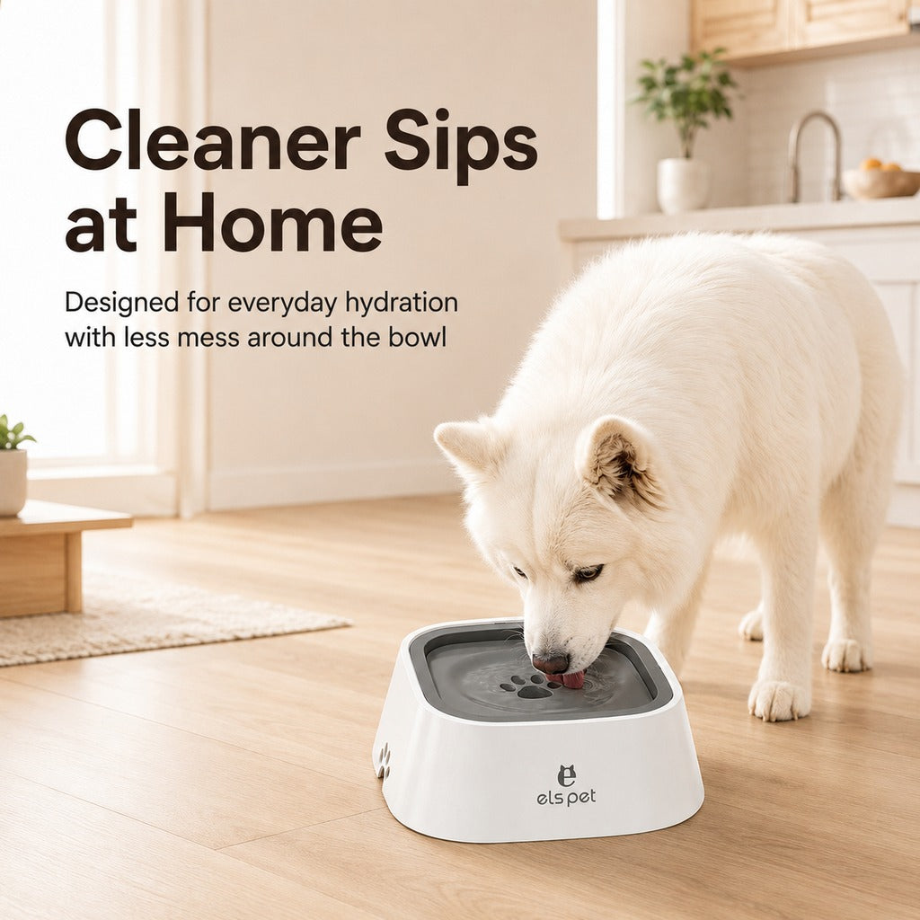 Floating Pet Water Bowl – Less Splash, Cleaner Floors