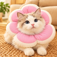 Rose Pink