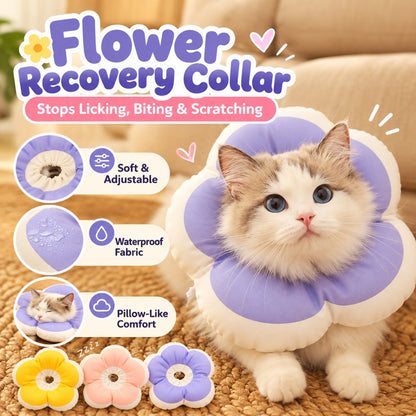 Soft Flower Recovery Collar – Cone Alternative