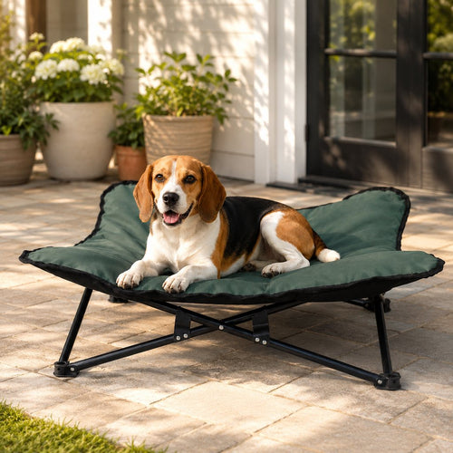 Folding Elevated Pet Cot – Off Cold & Damp Ground