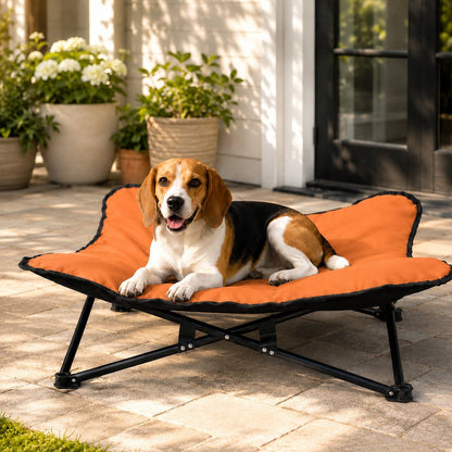 Folding Elevated Pet Cot – Off Cold & Damp Ground