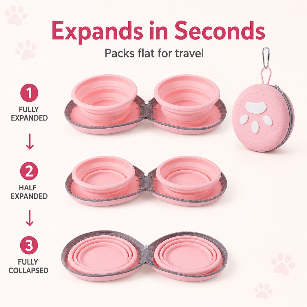 2-in-1 Collapsible Travel Bowl – Feed & Hydrate Anywhere