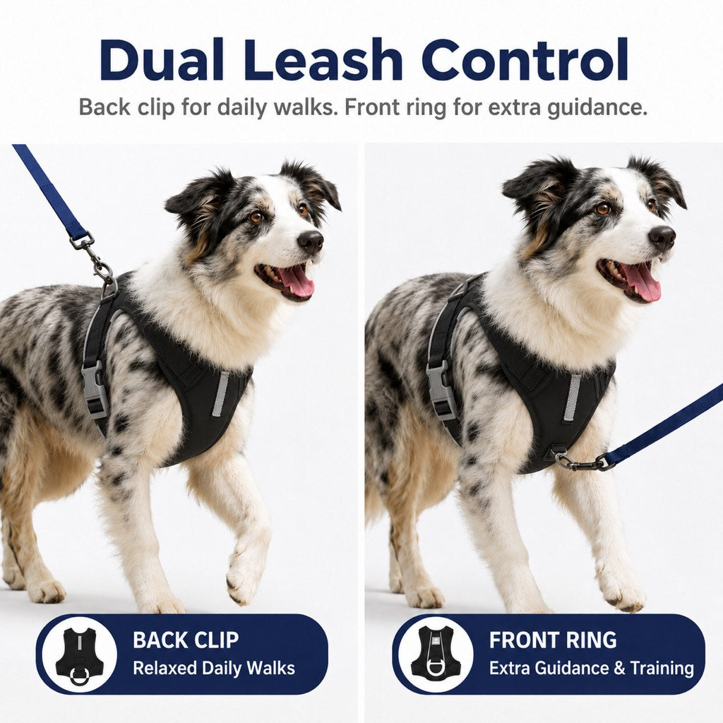 Reflective No-Pull Dog Harness – Safe Night Walks