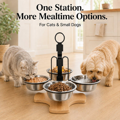 4-Bowl Elevated Pet Feeding Station – Adjustable Height